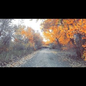 Meet your Posher, Katarina